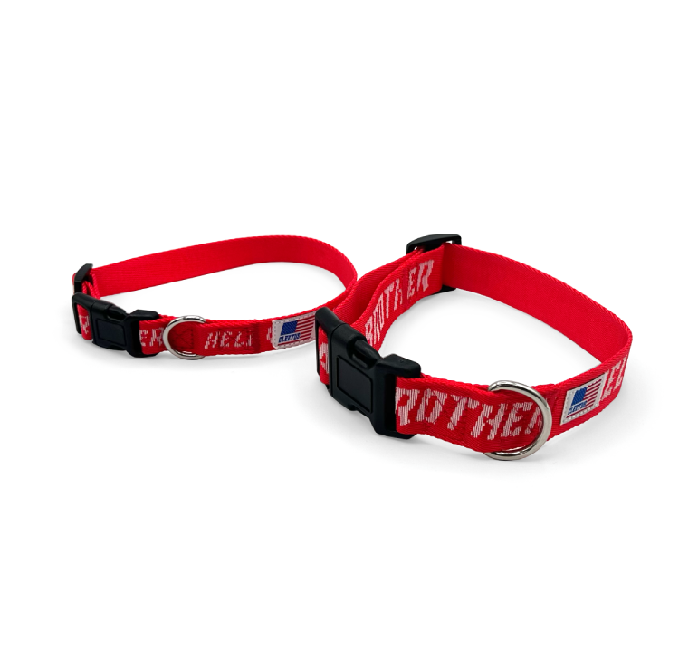 HELL YEAH BROTHER Dog Collars (2 color options)